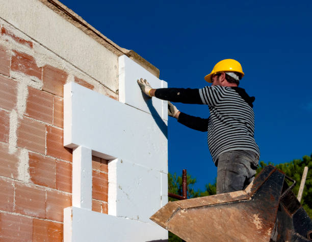 Best Insulation Contractor Near Me  in Livingston, TX