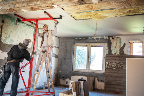 Best Spray Foam Insulation  in Livingston, TX