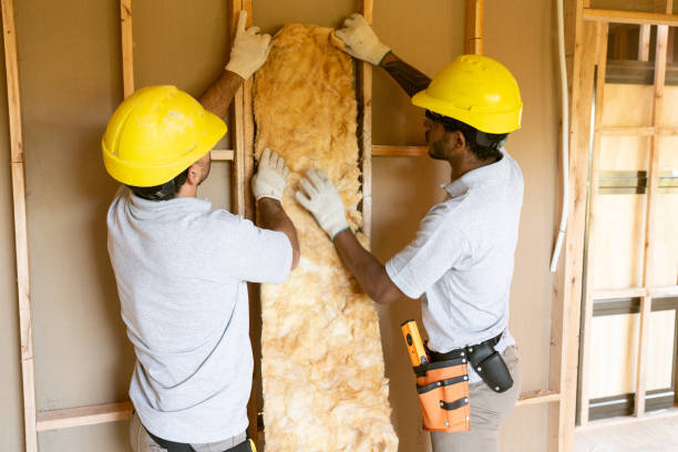 Best Insulation Inspection Services  in Livingston, TX